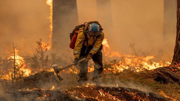 Tracking California wildfires: Latest smoke map as Park Fire continues to rage