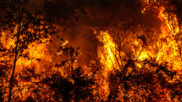 Western wildfires latest: One dead in new Colorado blaze as containment expanded on huge California fire