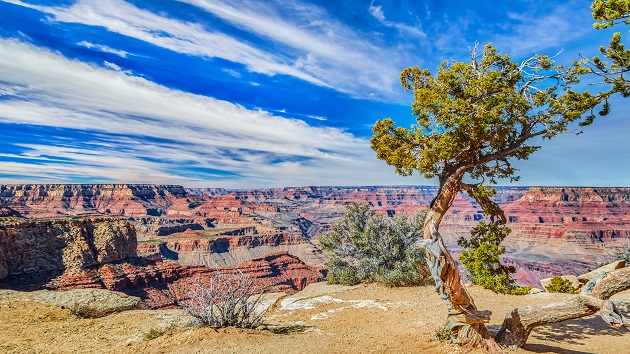 Man dies after attempting illegal BASE jump at the Grand Canyon: NPS